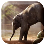 elephant sounds android application logo